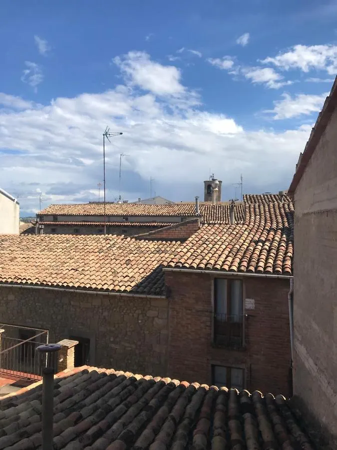 Ca La Rosita Apartment Solsona